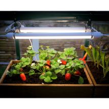 Palram-canopia - Canopia - Luz para Cultivo led