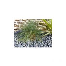 Canto Rodado Negro mate 12-24 Pack 15 M² - 30 sacos - 600 kg
