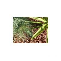 Classgarden - Canto Rodado Rojo 6-12 Pack 25 M² - 50 sacos - 1000 kg