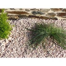 Canto Rodado Rosa 6-12 Pack 15 M² - 30 sacos - 600 kg