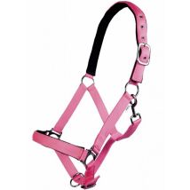 Capezza Per Cavalli Con Imbottitura Morbida Modello Stars Softice: Full, Fucsia Neon 8045