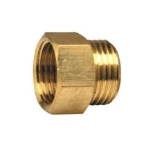 Capezzolo maschile e femminile: 33X42