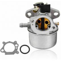 Inbagno - Carburador metálico con anillo de goma para motor Briggs & Stratton Quantum 498965.-DPZO