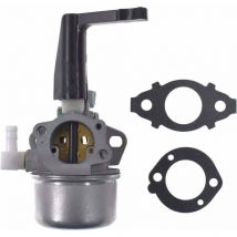 Soniatkia - 696065 Carburador de repuesto con kit de juntas para Briggs & Stratton