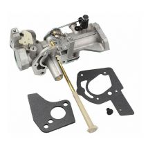 Carburateur 498298 5HP 490533 492611 495426 495951 692784 pour moteur Briggs et Stratton 130202 112202 112232 134202 137202 133212 FDC