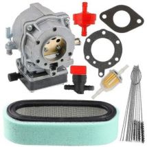 Carburateur 693480 Compatible Avec Briggs & Stratton 693479 499306