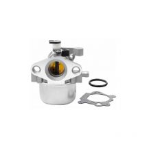 Carburateur Adapte Pour Briggs & Stratton 799871 790845 799866 796707 794304 Generateur Moteur Generateur Tondeuse