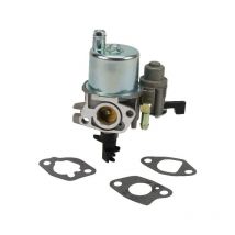 Carburateur briggs et stratton 593351