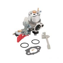 Carburateur briggs et stratton 595318