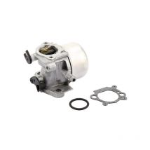 Carburateur briggs et stratton 799871