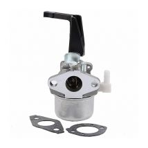 Carburateur Briggs & Stratton 696065 697422 pour salle d'outils