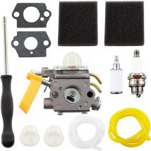 Rqiurpn - Carburateur C1U-H60 308054012 avec filtre à air pour taille-haie Ryobi Homelite 25cc 26cc 30cc 46cc tronçonneuse 308054003 308054008, Ryobi