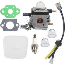 Irisfr - Carburateur C1U K54A pour motoculteur Mantis 7222 7222E 722M 7225 7230 7234 7240 7920 7924
