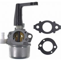 XVX - Carburateur de Remplacement avec Kit de Joint pour Briggs & Stratton 696065 697422 110402-0206-E1