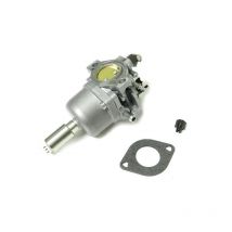 Carburateur moteur Briggs et Stratton 799727