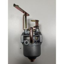 Carburateur lg/gt/t/r pubert