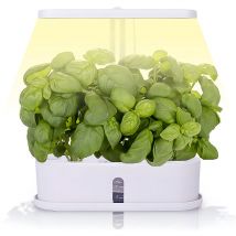 Seenlin - lifcausal Système hydroponique d'intérieur avec éclairage led - Réservoir 2,5L, 10 capsules de germination, hauteur régl
