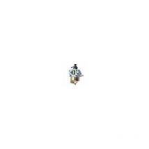 Carburateur tondeuse MTD 1P65 1P70 thorx 45