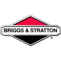 Carburatore Briggs e Stratton - 593034