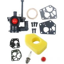 Carburatore con filtro dell'aria 698369 per Briggs & Stratton 795477,795469, 794147, 699660, 794161, 498811