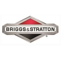 Carburatore ORIGINALE BRIGGS & STRATTON 499952