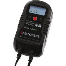 Autobest - Cargador y mantenimiento de carga 6-12 voltios / 4 a