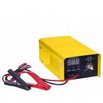 Bricoline - Cargador de batería inverter Agri 50/12 12V/30A, ideal para cargar baterías de vehículos y maquinaria agrícola, diseño compacto,