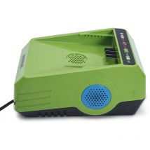 Warrior Eco Power Equipment - Caricabatterie agli ioni di litio da 2,5 Ah, 220 v, doppia ventola Warrior Eco Power