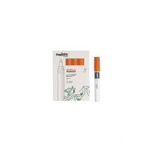 Plus pack de 6 Acrylmarker - Spitze 2mm --- orange Farbe - Carioca