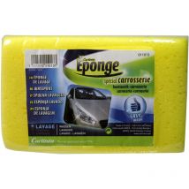 Eponge de lavage - Carlinea