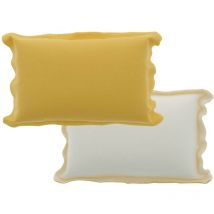 Eponge vitre antibuee - Carlinea