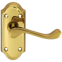 Carlisle Brass Ashtead Lever on Short Backplate Polished Brass