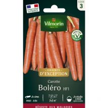 Vilmorin - Carotte Boléro F1 - Graines d'Exception