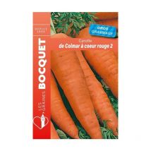 Carotte de Colmar à coeur rouge - 2 gros grammage - 21g