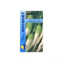 Carotte fourragère blanche à collet vert hors Terre - 7g
