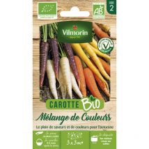 Carotte Mélange de Couleurs - bio