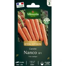 Vilmorin - Carotte Nanco F1 - Graines d'Exception