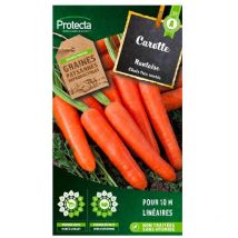 Carotte Nantaise améliorée