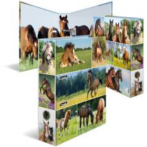 Herma - Archivador de palanca con diseño de animales y prado de caballo, tamaño A4, lomo de 70 mm, con impresión interior, 1 carpeta