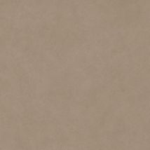 Carrelage sol extérieur 20 mm dalle antidérapant effet béton ciré naturel 60x60 cm Boost natural ECRU (vendu par boite de 0,72m2)