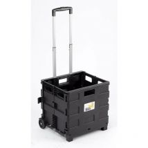 Carrello da Trasporto Pieghevole Max 25 Kg in Alluminio e Plastica Ranieri Nero