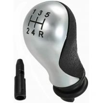 Dopa - Carrfan Pommeau de Voiture 5 Vitesses Manuel pour Citroen C5 01-08 Xsara Picasso 99-08