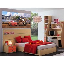 Carta da parati fotografica FTDh 0603, motivo: Cars Disney