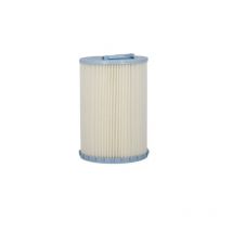 Charge filtrante piscine - Cartouche filtrante C2 - 250 mm de Weltico