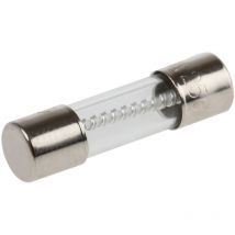 Cartouche fusible Rs Pro 10A, 5 x 20mm, Type t, 250V c.a.