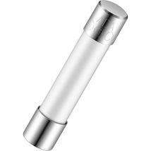 Cartouche fusible RS PRO, 15A, 6.35 x 31.75mm, Type T, 250V c.a.