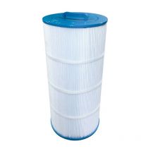 Gota Pure - Filtre piscine Waterair CW100 / FCW100 compatible Haute Qualité 4OZ 100 Sq ft ref WAT100