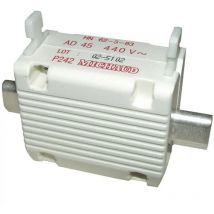 Michaud - P243 - Cartucho de fusible T00 AD60