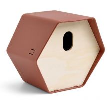 Casetta per Uccelli Hive 2 19x23x20 cm Foro Ovale Marrone Capi