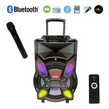 Cassa portatile Ricaricabile trolley amplificata 2000 Watt bluetooth radio usb